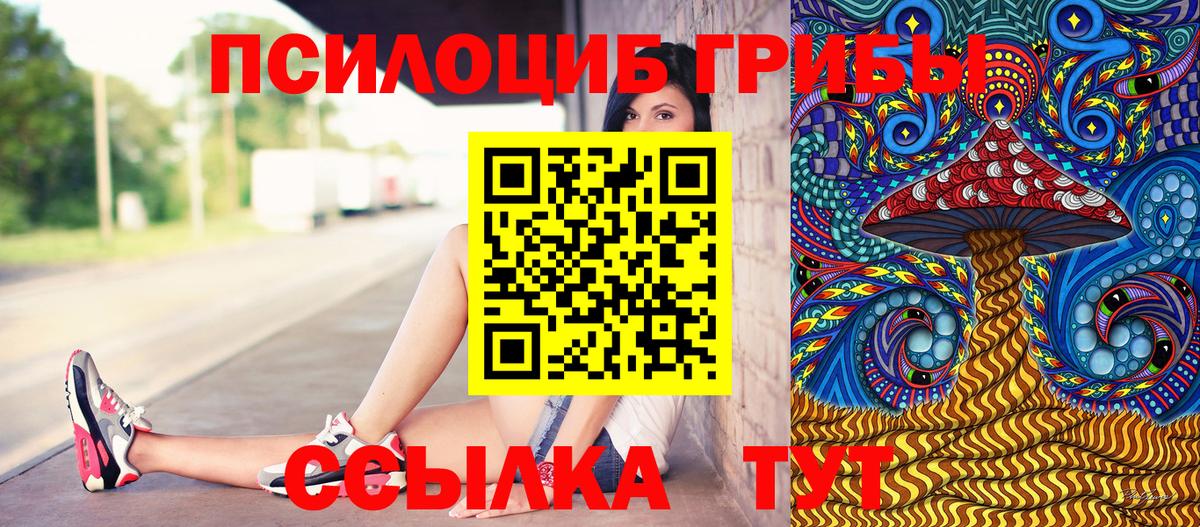 Москва  Псилоцибиновые грибы ЛСД  Вход с VPN 
